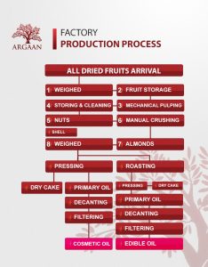 Argaan Factory Process