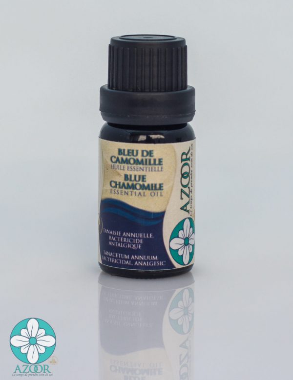 Blue Tansy Chamomile Azoor essential oil
